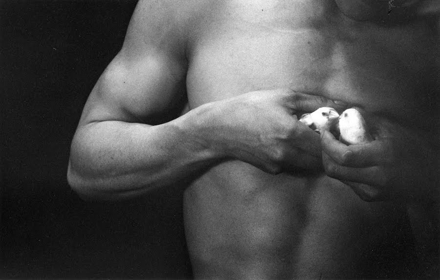 Eikoh Hosoe NSFW erotica Cultura Inquieta32