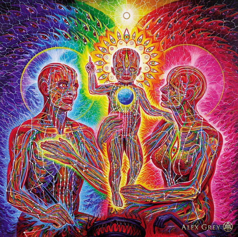 El Progreso del Alma Alex Grey 11