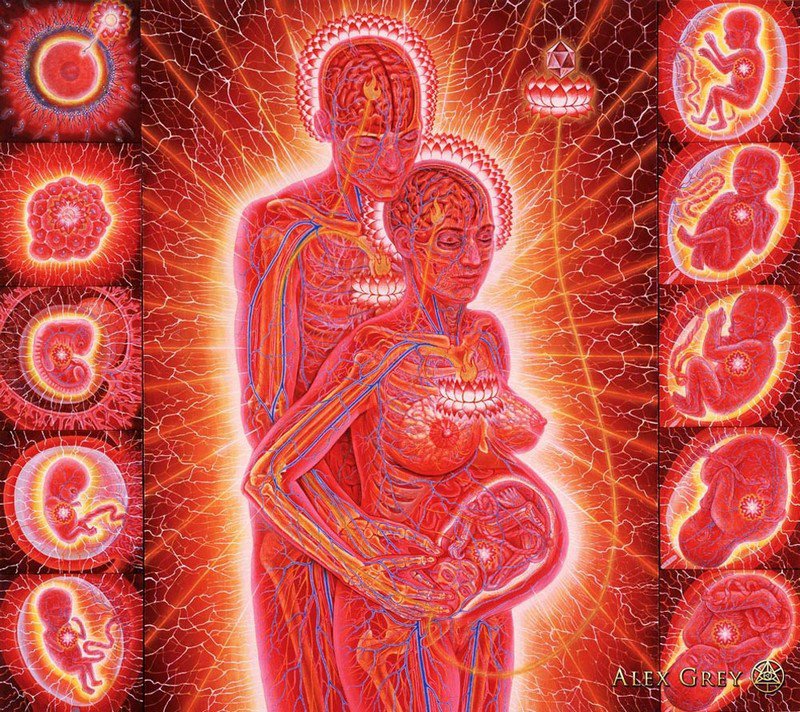 El Progreso del Alma Alex Grey 5