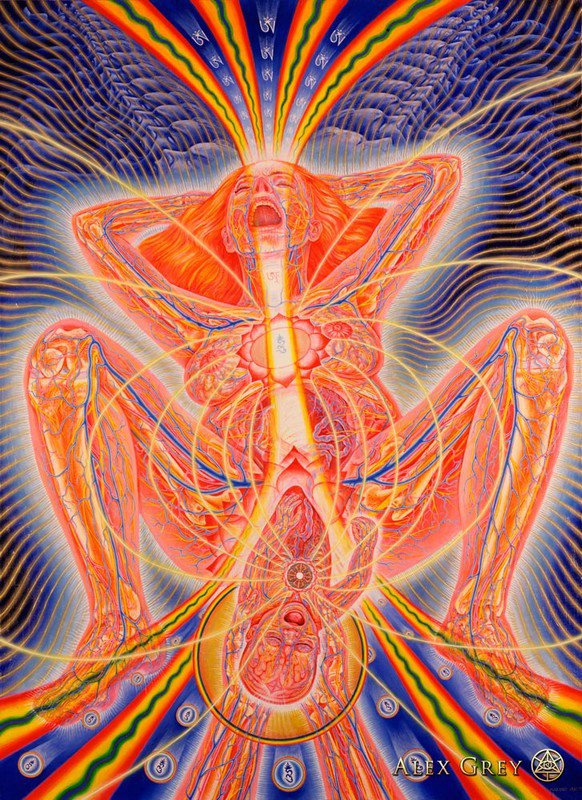 El Progreso del Alma Alex Grey 6