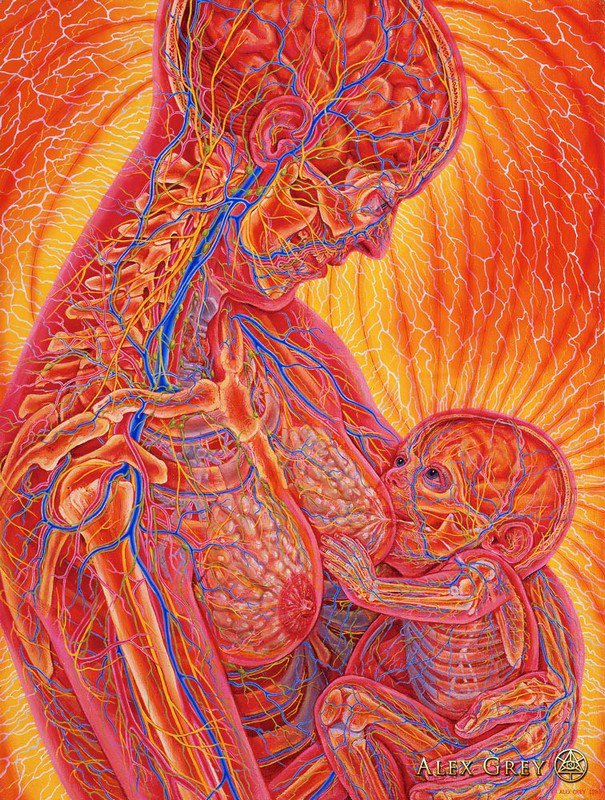 El Progreso del Alma Alex Grey 7