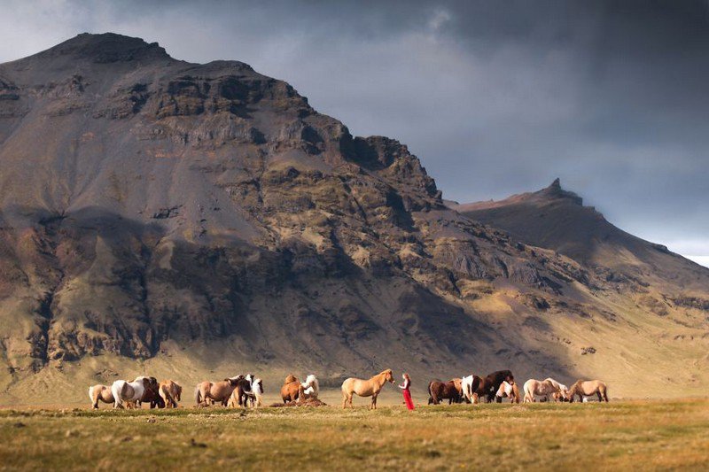 Elizabeth Gadd fotografia de paisajes 15