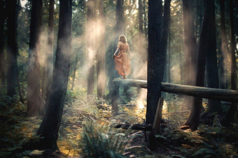 Elizabeth Gadd fotografia de paisajes 8