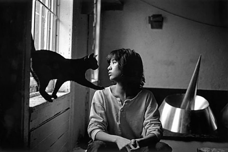 Maya Lin Cultura Inquieta