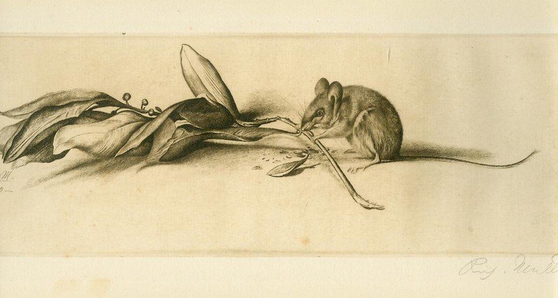 RICHARD MULLER illustration art10