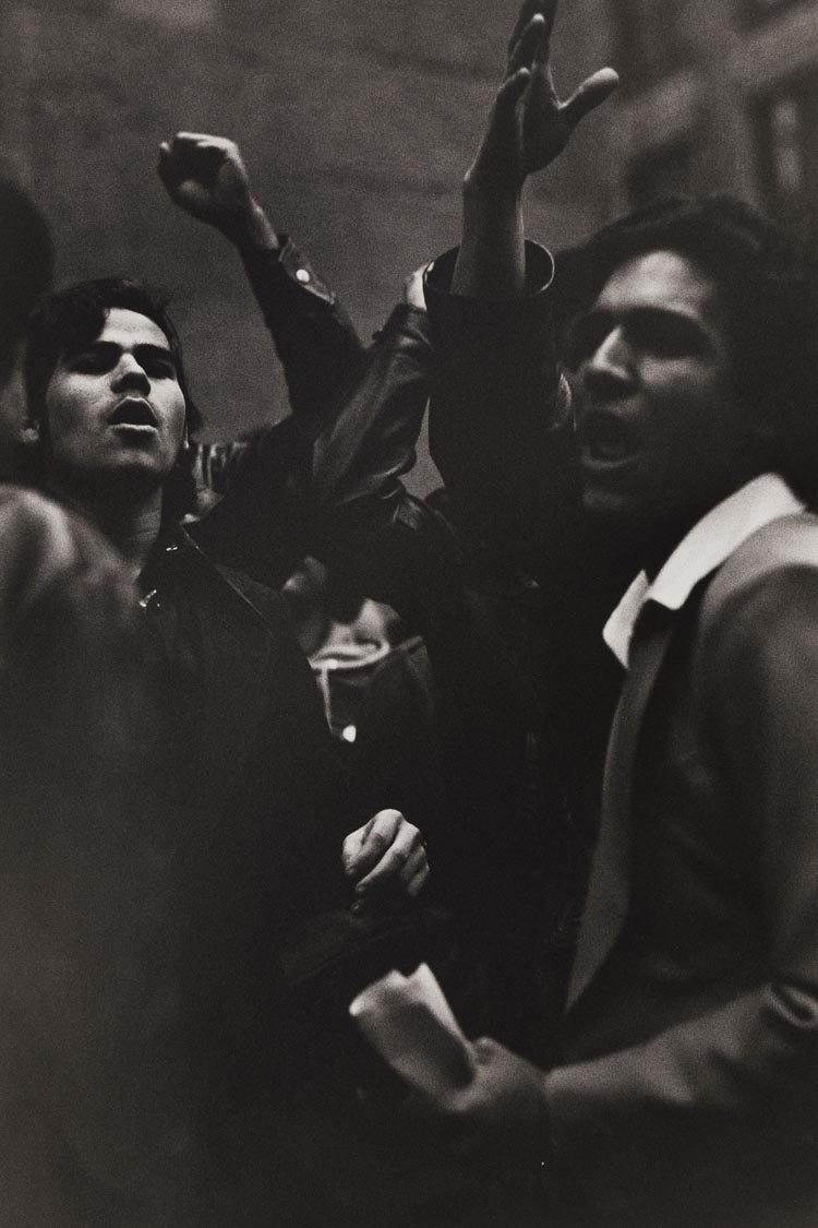 Stettner culturainquieta7