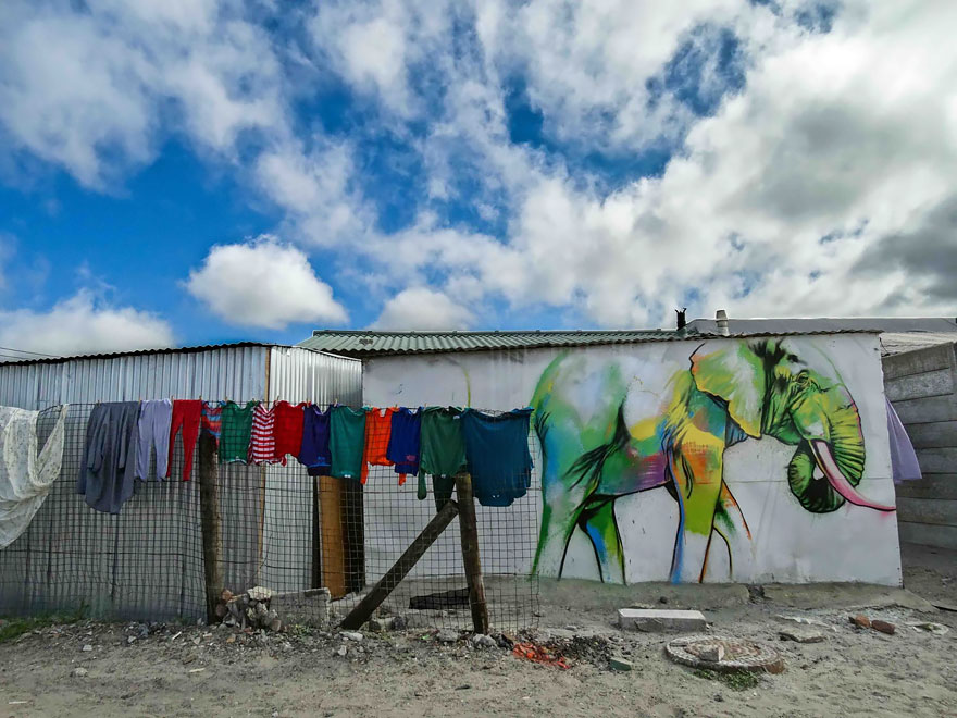 arte urbano Falko elefante 10
