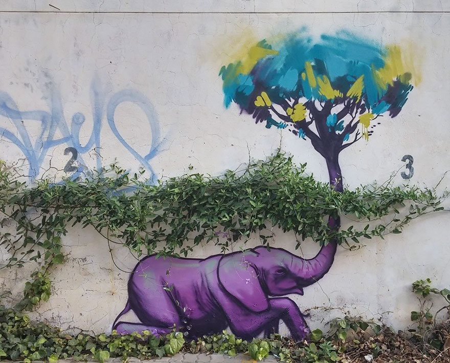 arte urbano Falko elefante 8