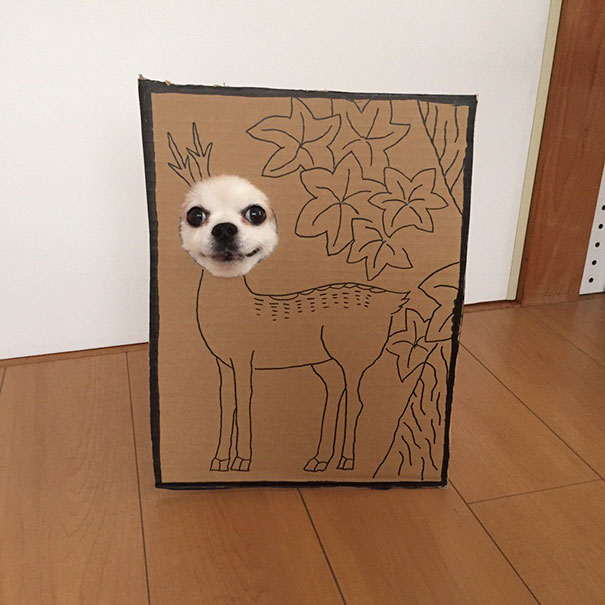 dog costume cardboard cutouts myouonnin 39 580f5440526b9 605