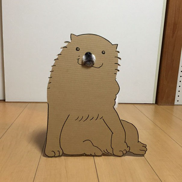 dog1 culturainquieta