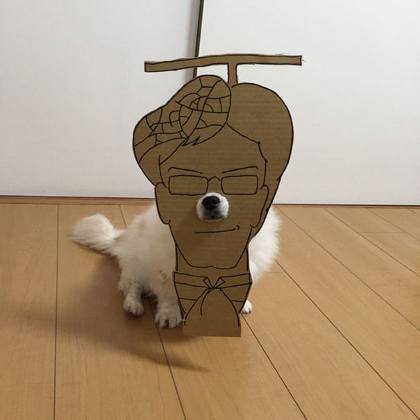 dog10 culturainquieta
