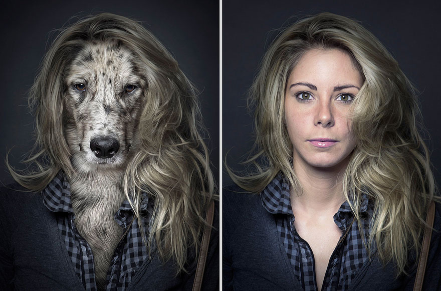 dogs dress up Sebastian Magnani 6