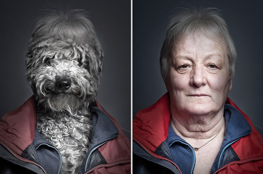 dogs dress up Sebastian Magnani 8