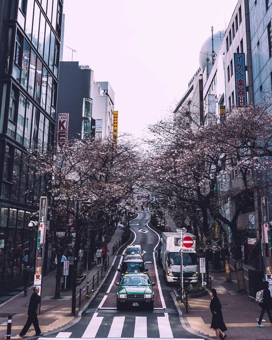 fotografos japoneses 19