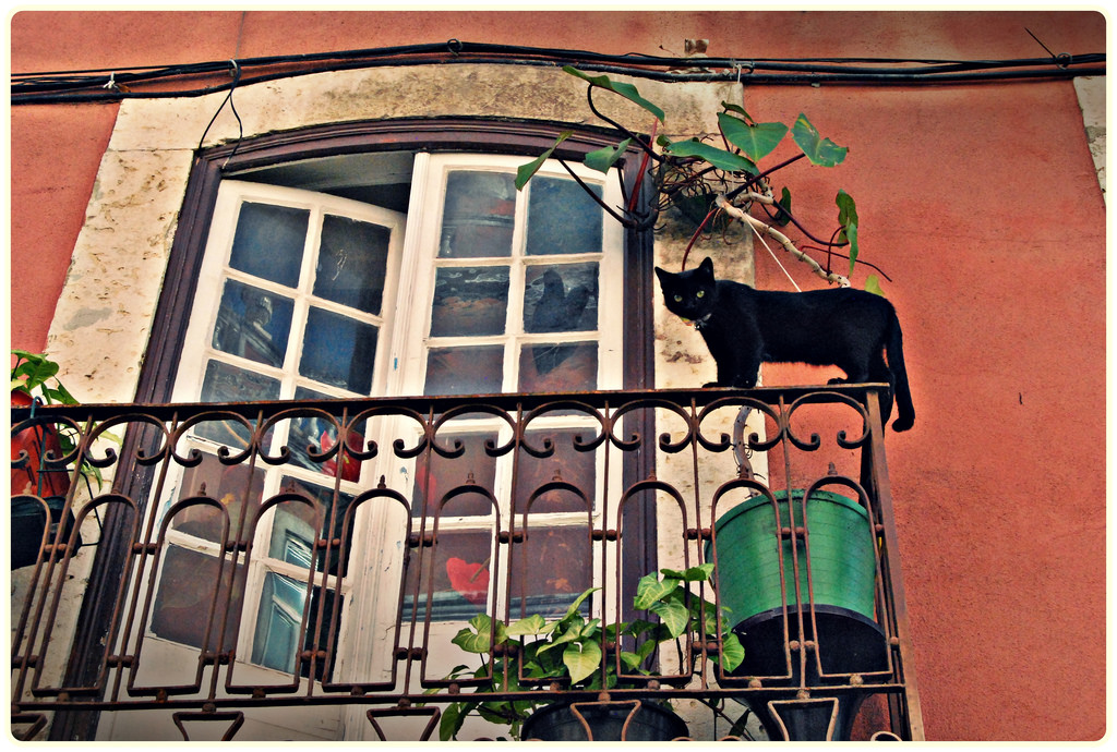 lisboa culturainquieta3