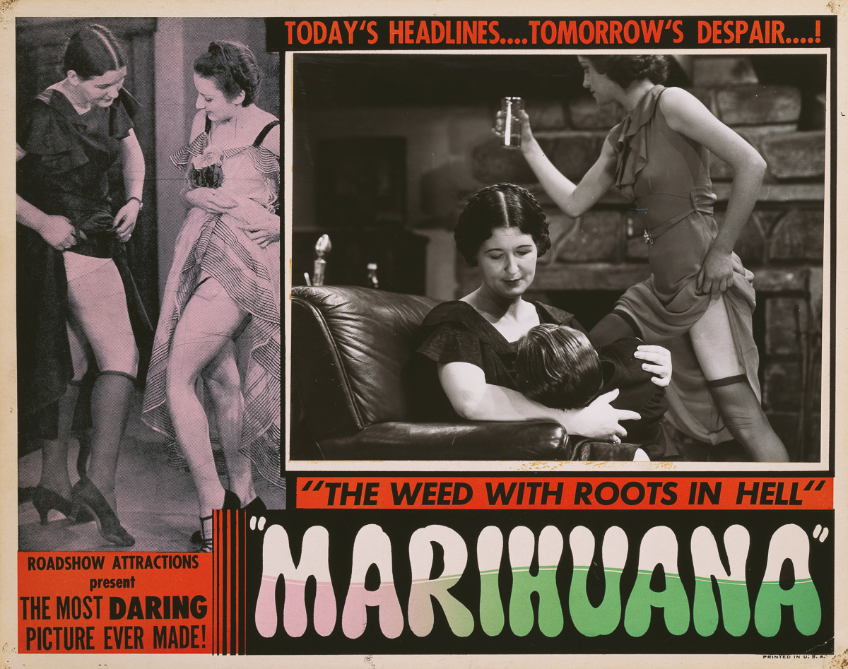 marihuana culturainquieta11