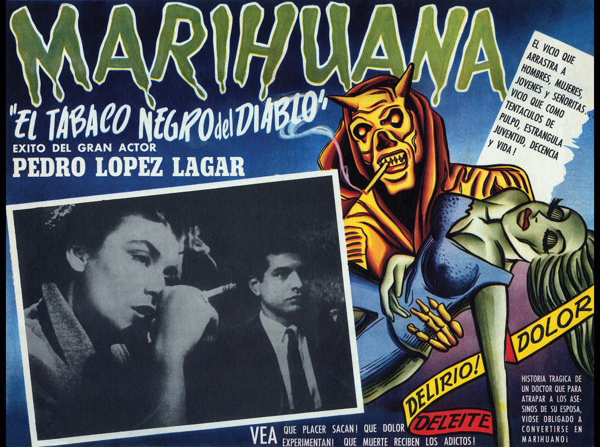 marihuana culturainquieta12