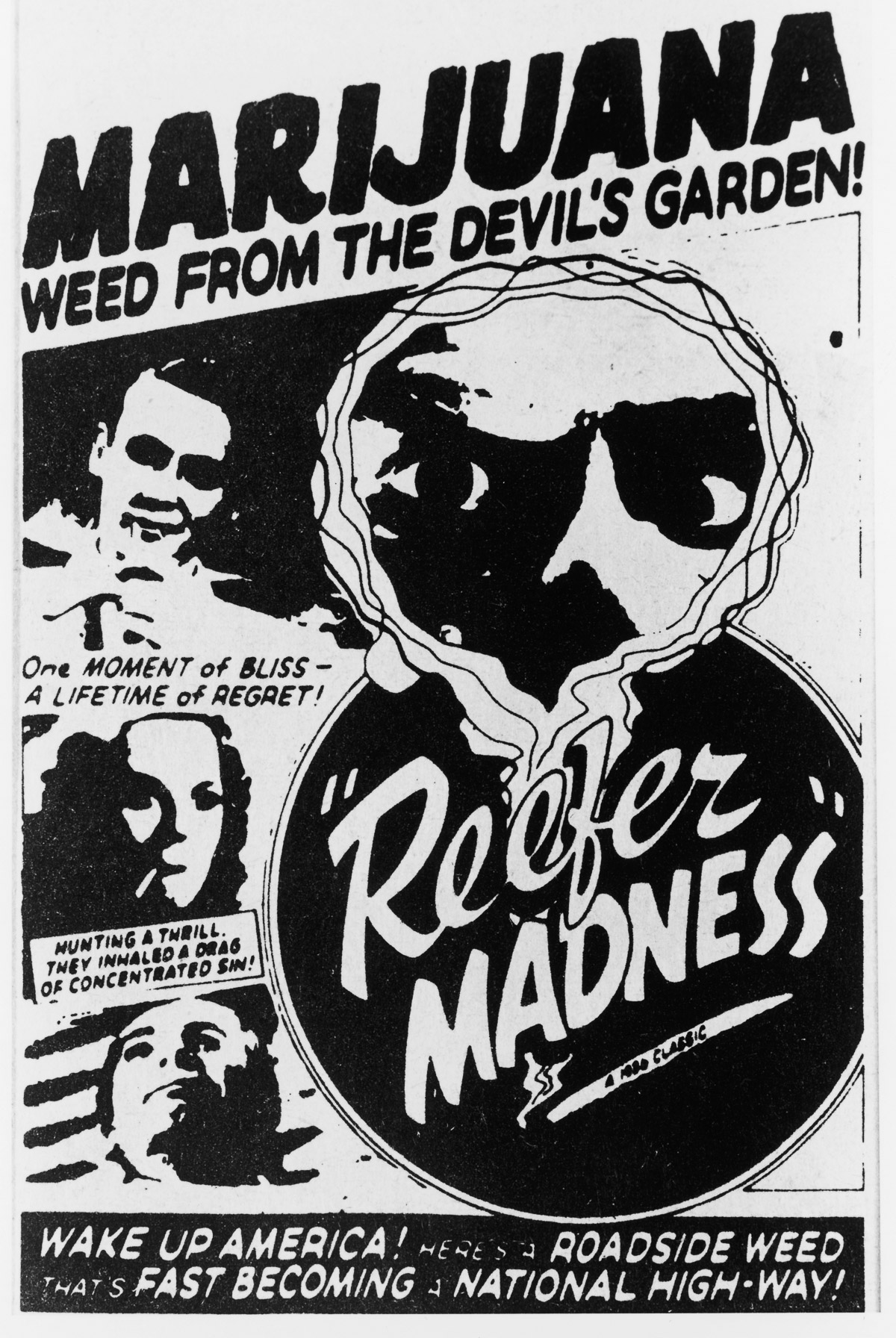 marihuana culturainquieta9