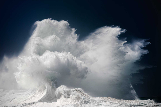 olas alta mar 4