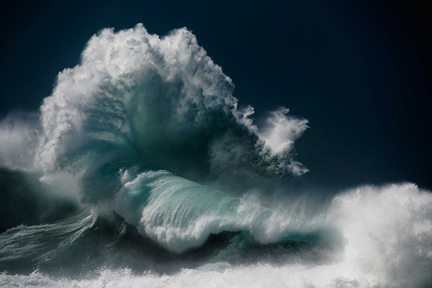 olas alta mar 6