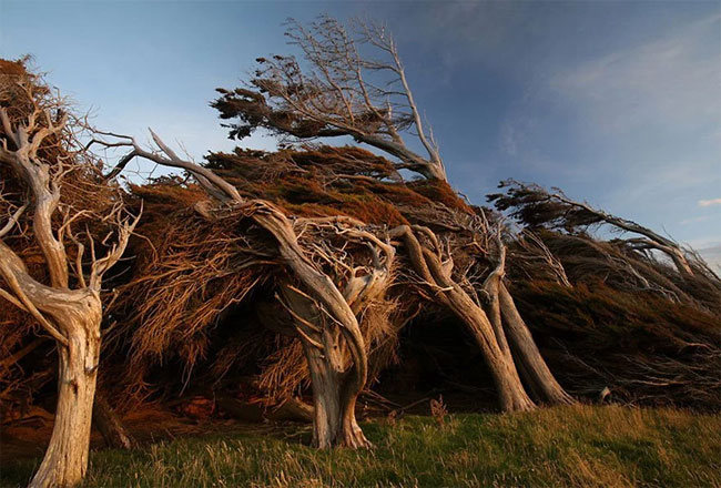 slope point arbol 04