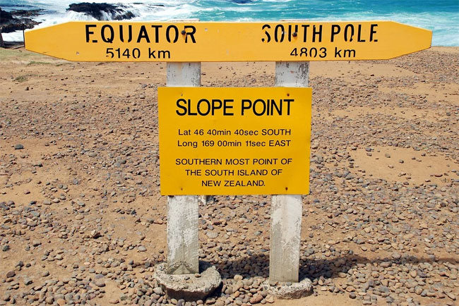 slope point arbol 13