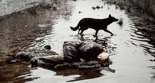 tarkovsky stalker perro