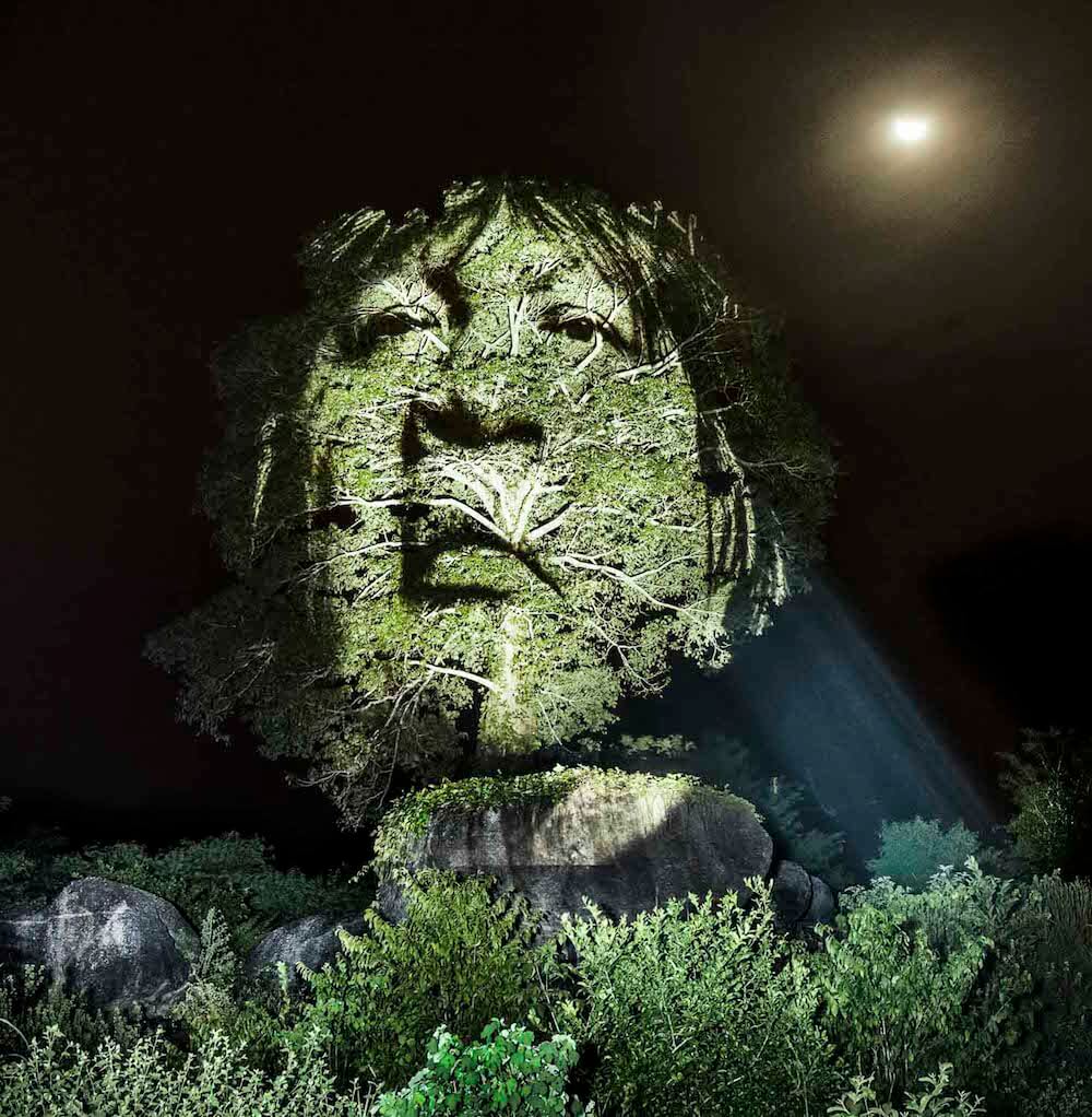 AMAZONAS culturainquieta