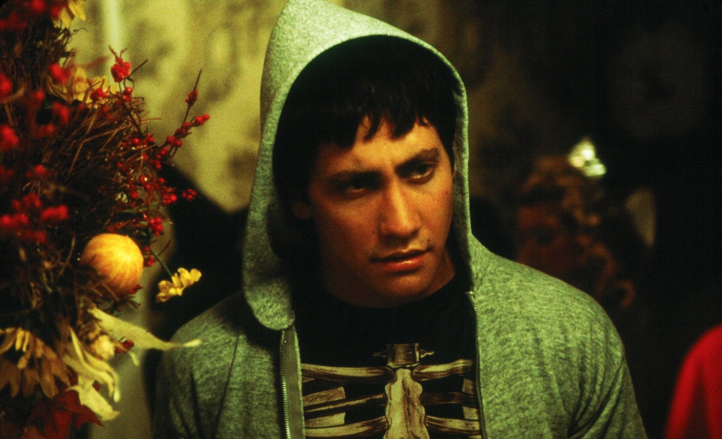 DONNIE DARKO culturainquieta