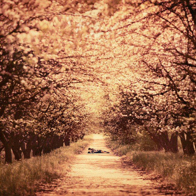 Oleg Oprisco Cultura Inquieta19