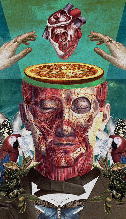 collagejorge6 culturainquieta