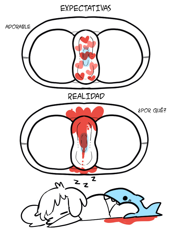 comics menstruacion regla 4