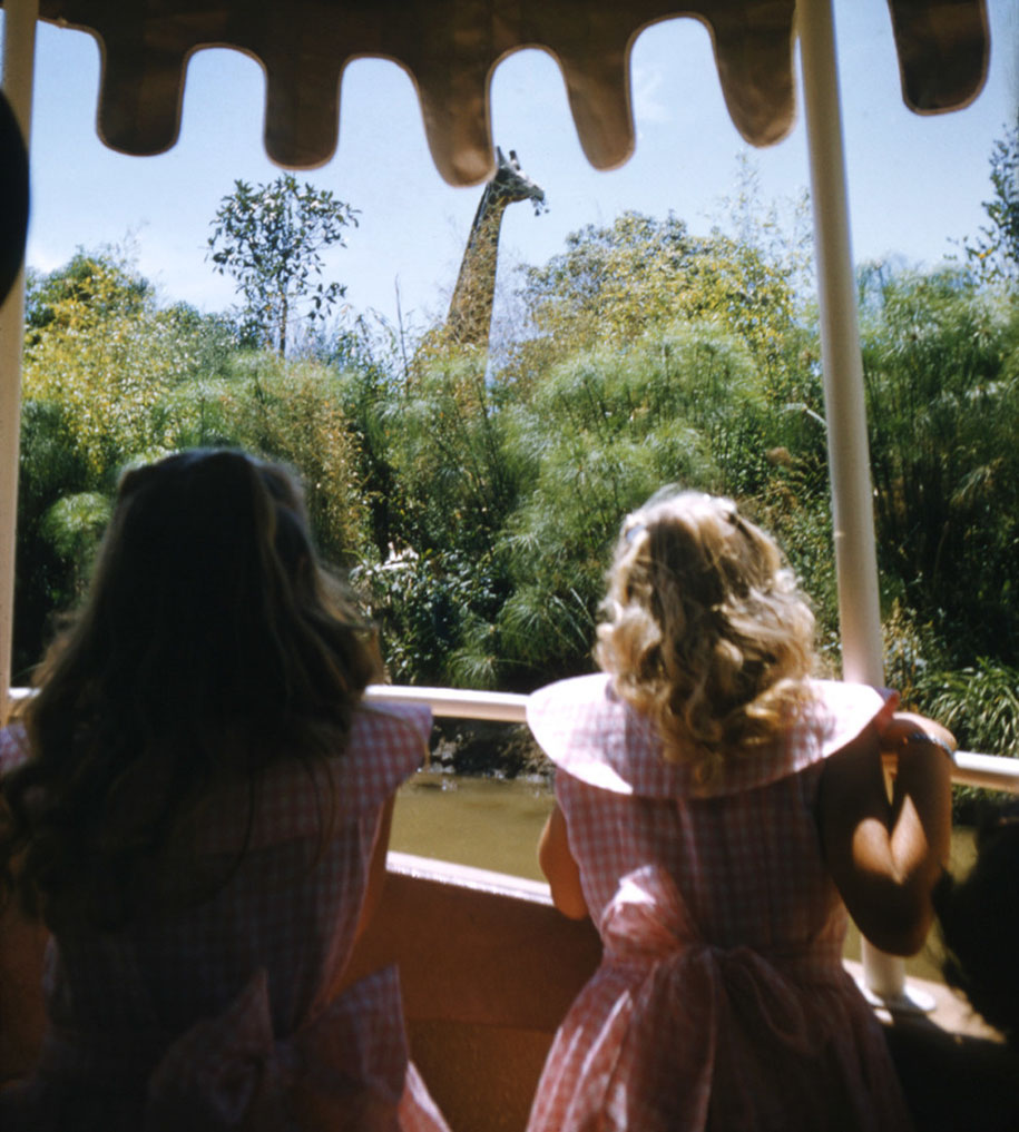 disneyland opening17 culturainquieta
