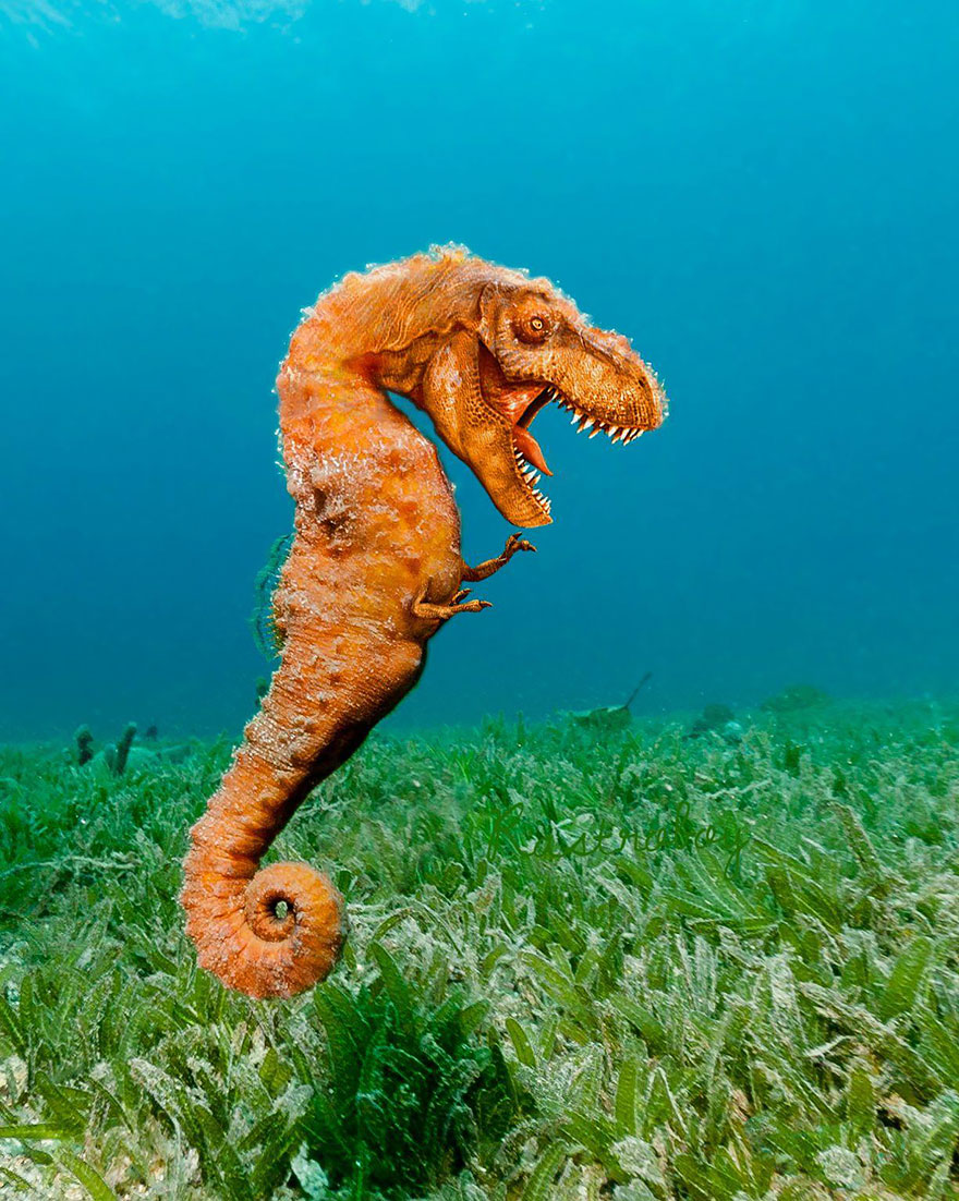 hybrid creature criatura hibrido animal photoshop6