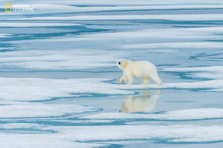 national geographic nature 2016 04