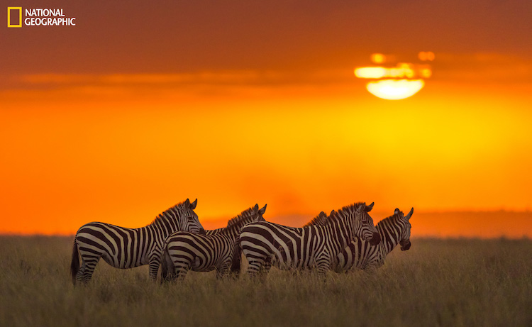national geographic nature 2016 07