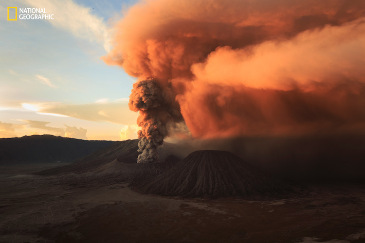 national geographic nature 2016 08