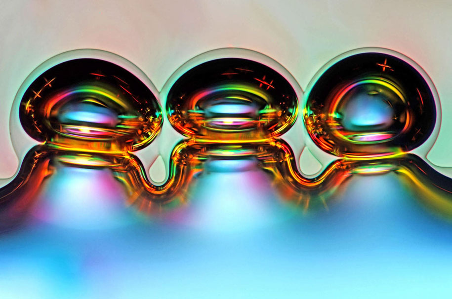 nikon small world photo contest 2016 20