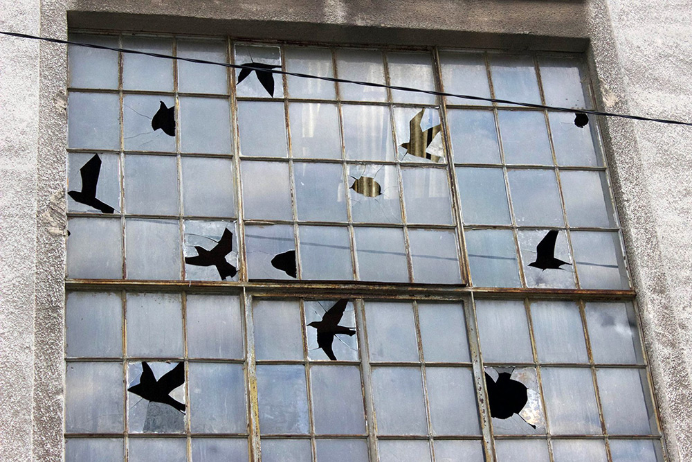 pejac culturainquieta