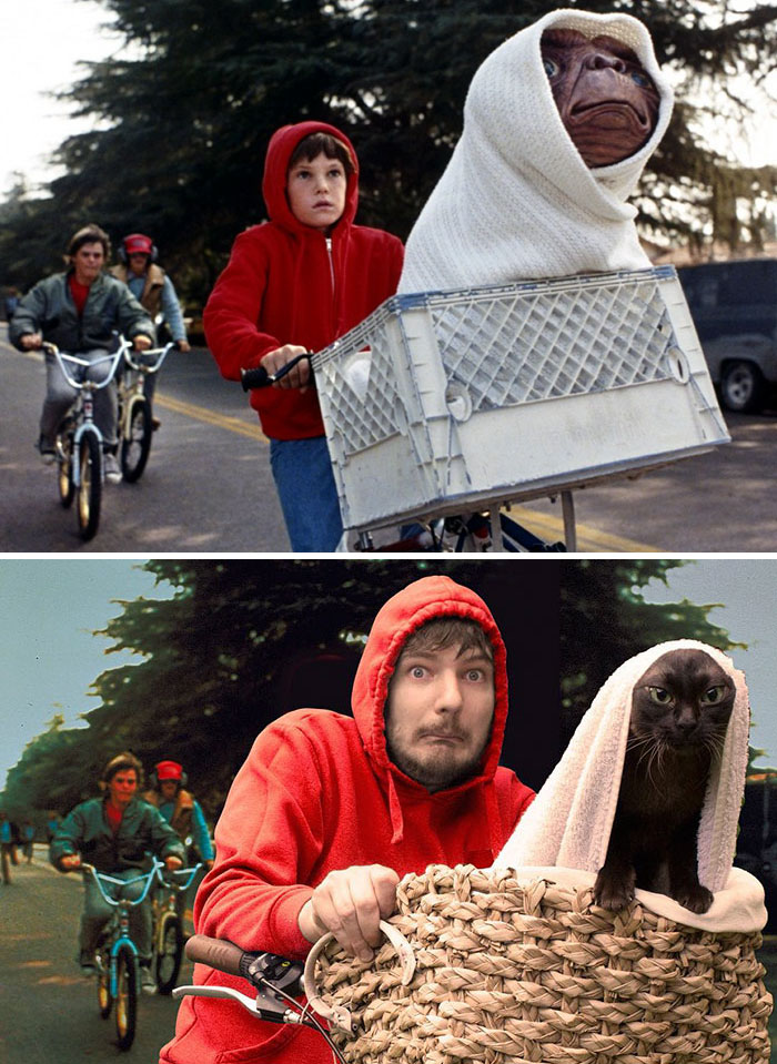 pelis gatos 01