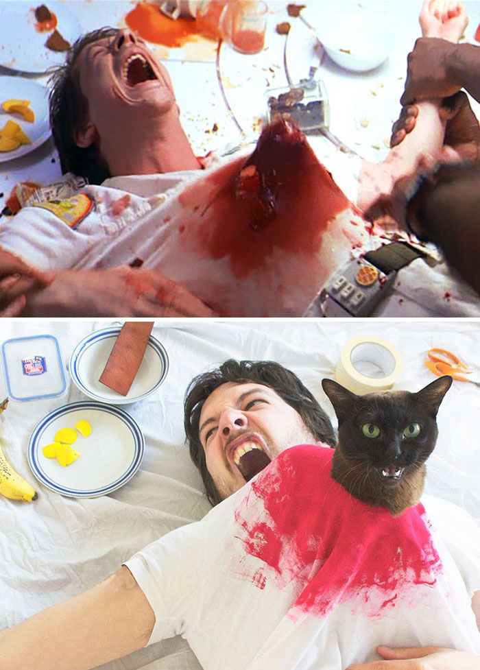 pelis gatos 02