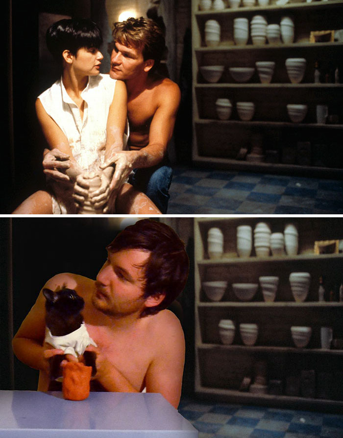 pelis gatos 03
