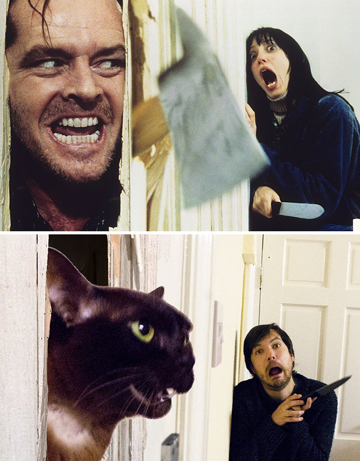 pelis gatos 04