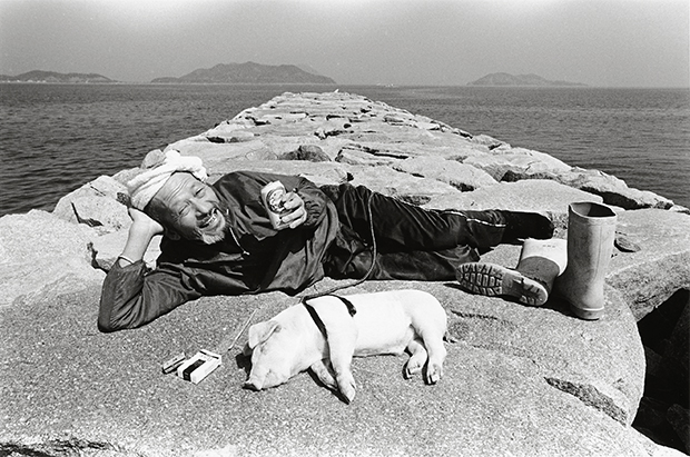 pig farmer cerdo granjero Toshiteru Yamaji4