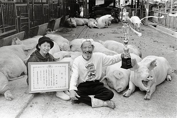 pig farmer cerdo granjero Toshiteru Yamaji9