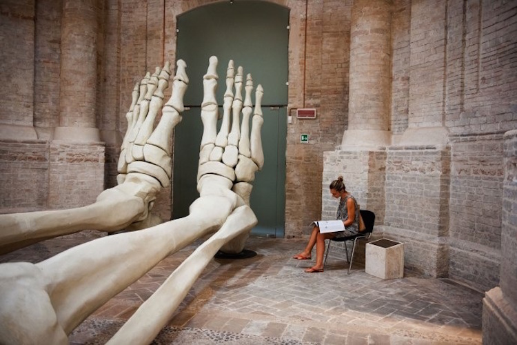 steve mccurry6