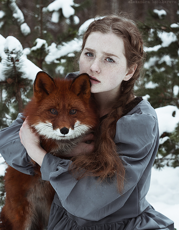 Alexandra Bochkareva estimulantes fotografias zorros 10