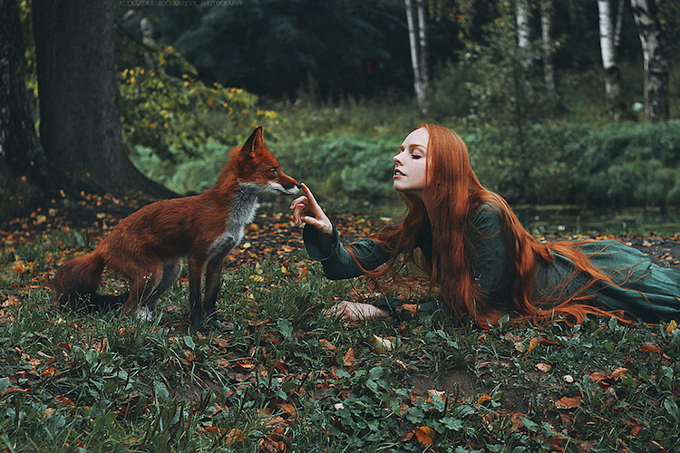 Alexandra Bochkareva estimulantes fotografias zorros 3