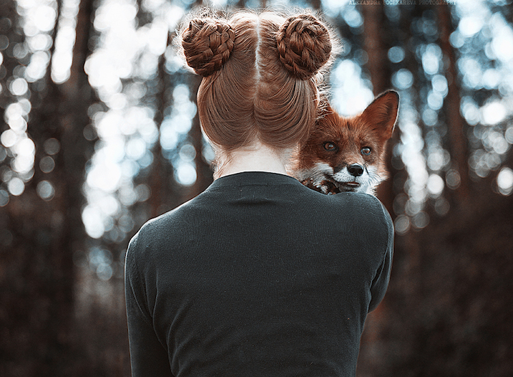 Alexandra Bochkareva estimulantes fotografias zorros 4