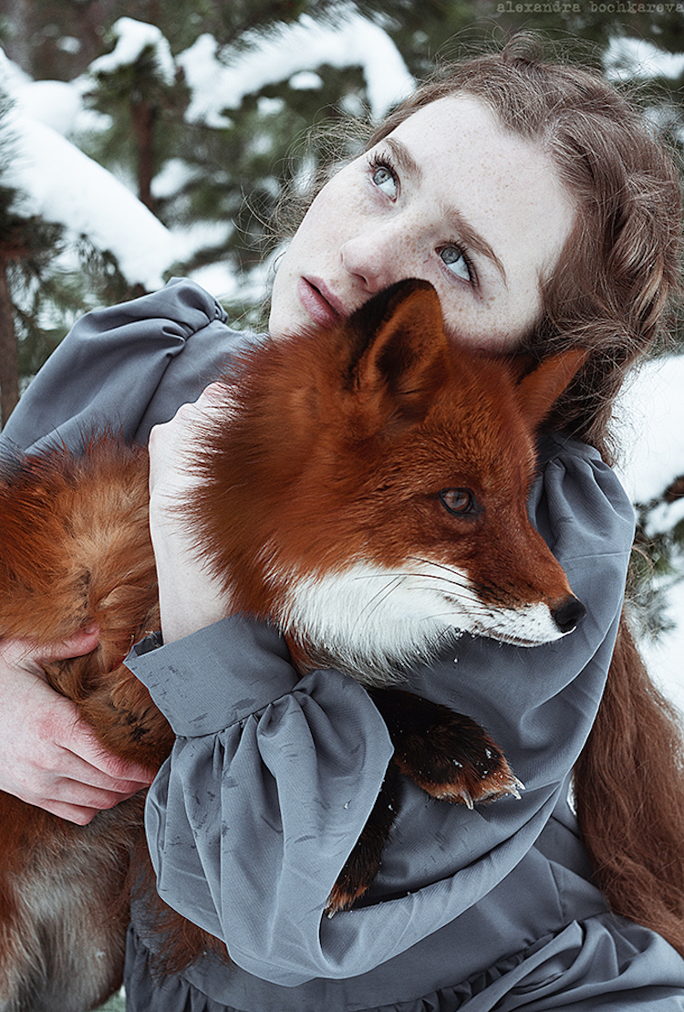 Alexandra Bochkareva estimulantes fotografias zorros 8